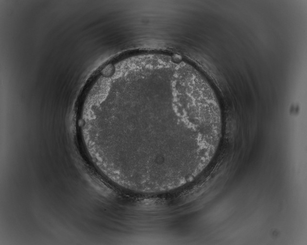 X0000101230584200807181605