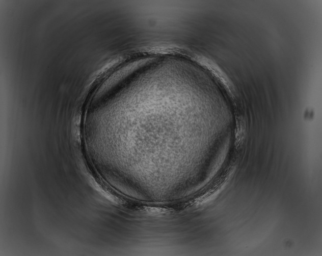 X0000101230585200807181605