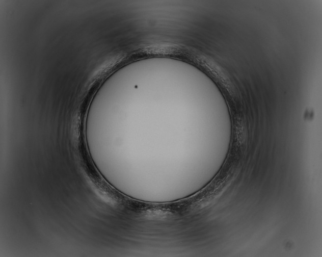 X0000101230586200807181605