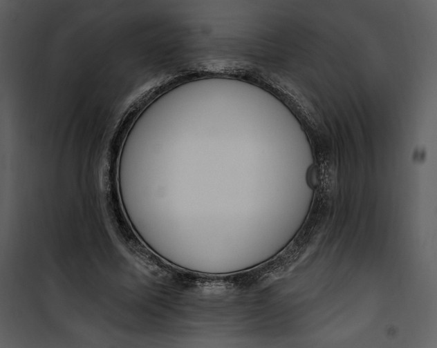 X0000101230587200807181605