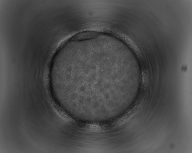 X0000101230588200807181605