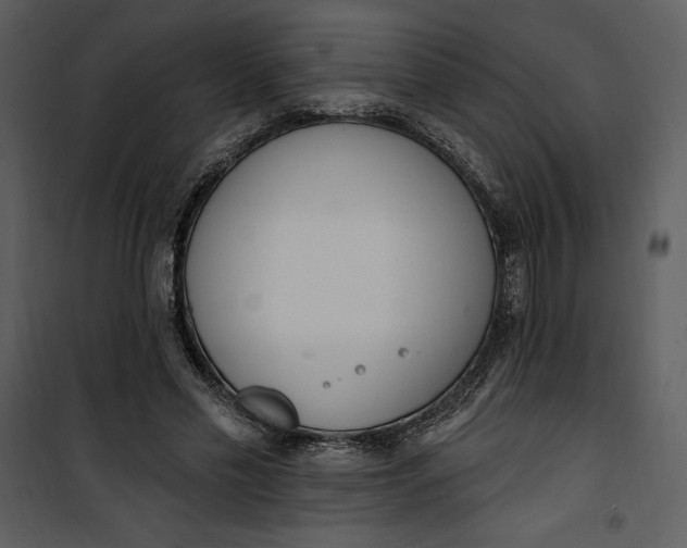 X0000101230589200807181605