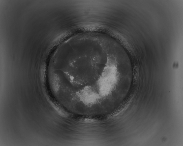 X0000101230590200807181605