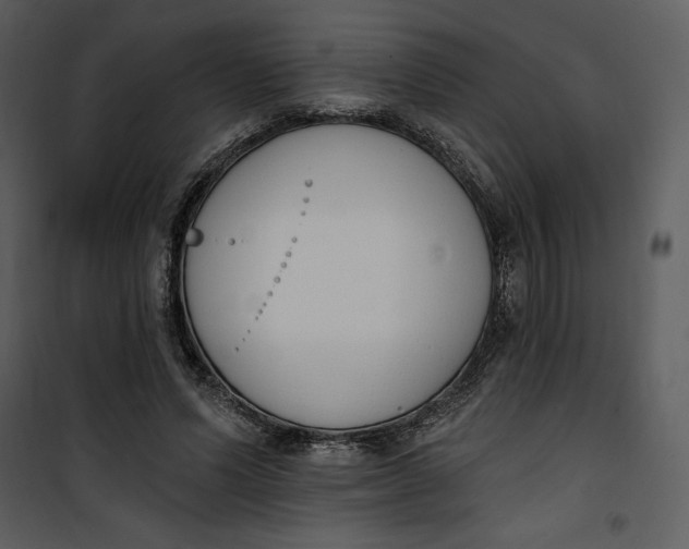 X0000101230591200807181605