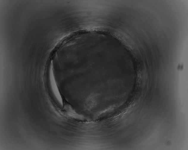 X0000101230592200807181605