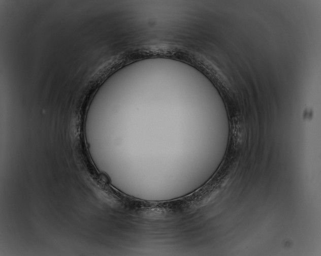 X0000101230593200807181605