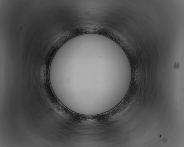 X0000101230594200807181605