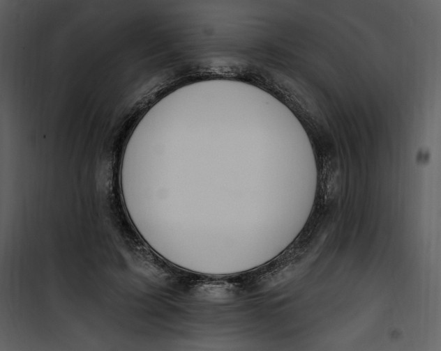 X0000101230595200807181605