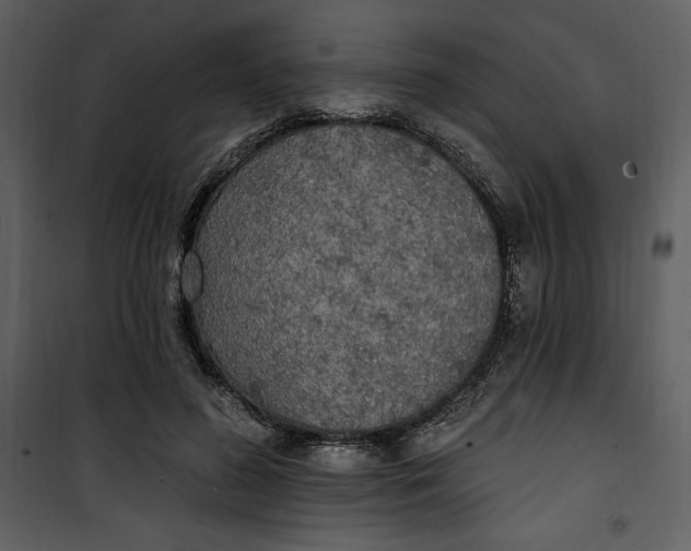 X0000101230596200807181605