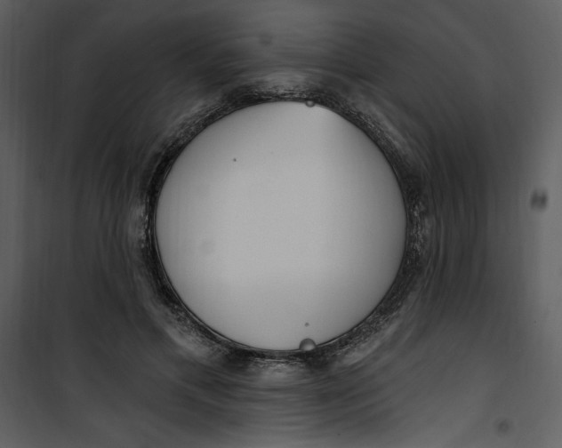 X0000101230597200807181605