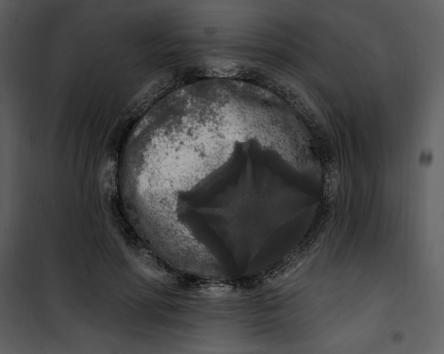 X0000101230598200807181605