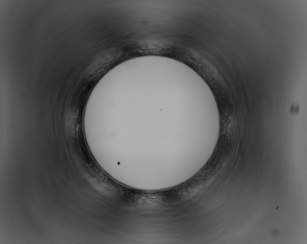 X0000101230599200807181605