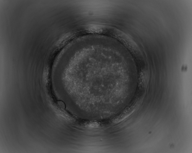 X0000101230600200807181605