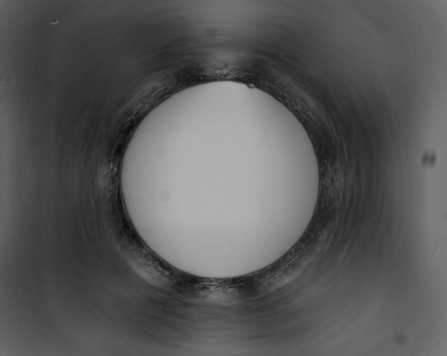 X0000101230601200807181605