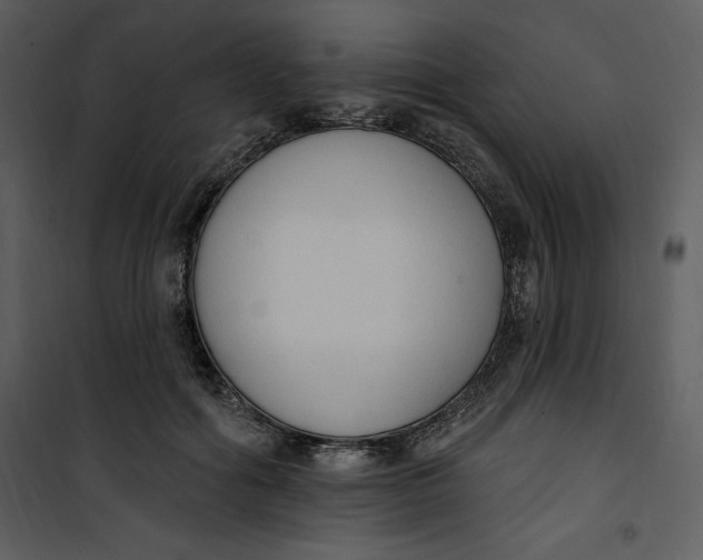 X0000101230602200807181605