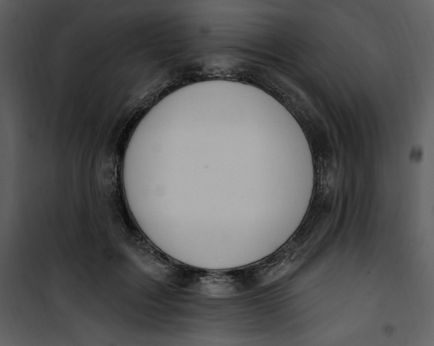 X0000101230603200807181605