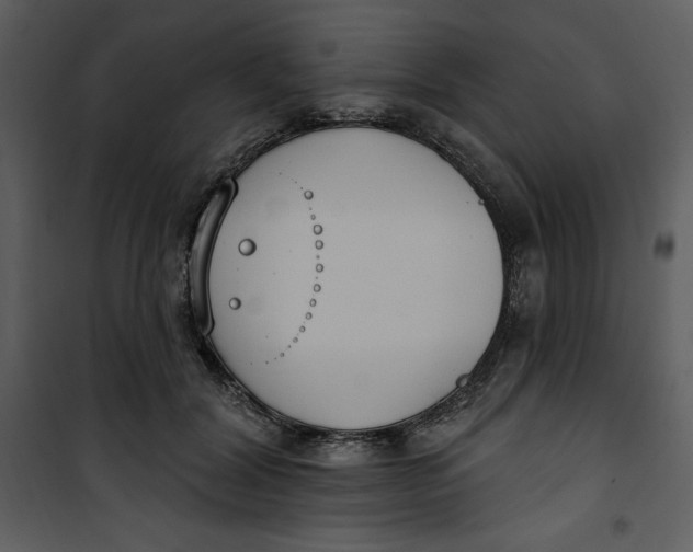 X0000101230604200807181605