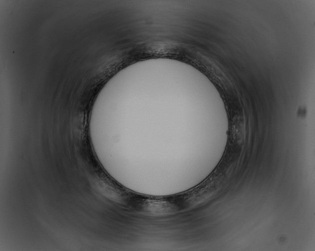 X0000101230605200807181605