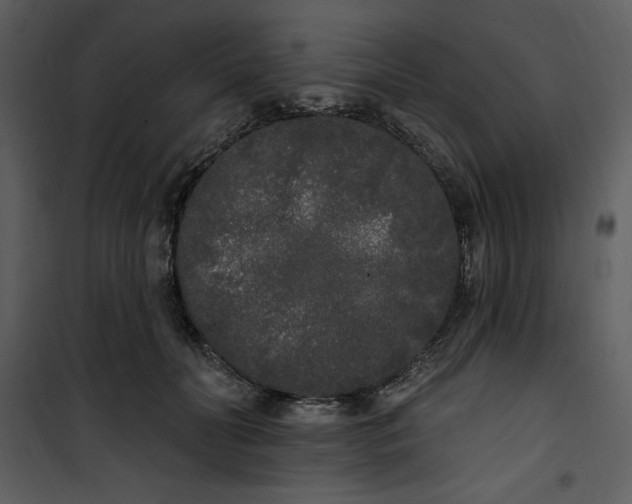 X0000101230606200807181605