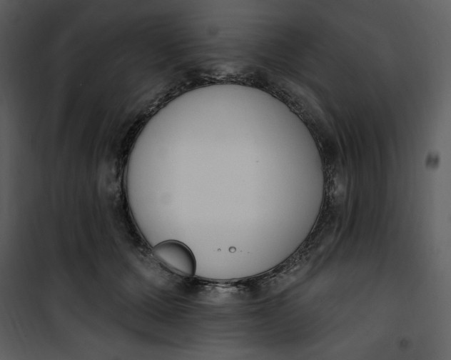 X0000101230607200807181604