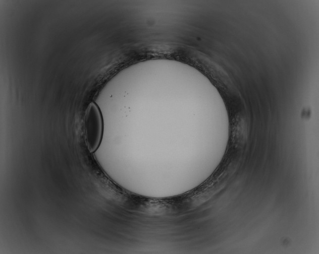 X0000101230608200807181604