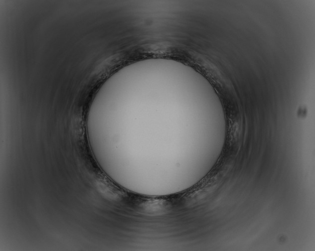 X0000101230609200807181604