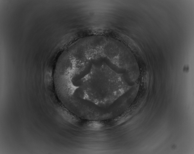 X0000101230610200807181604