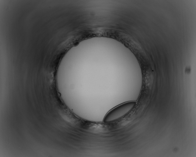 X0000101230611200807181604