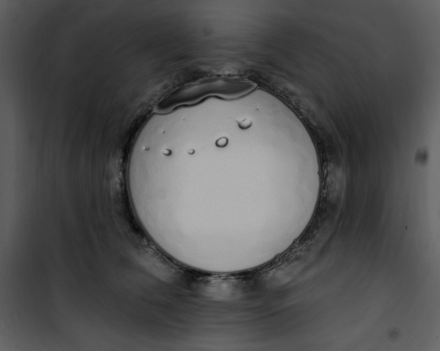 X0000101230612200807181604