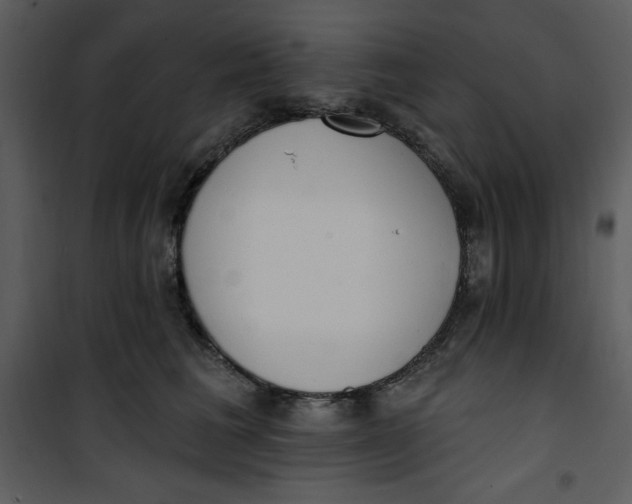 X0000101230613200807181604