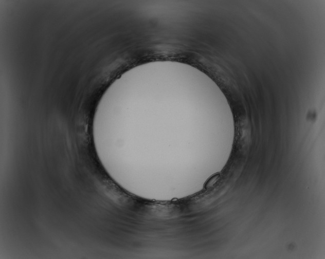 X0000101230615200807181604