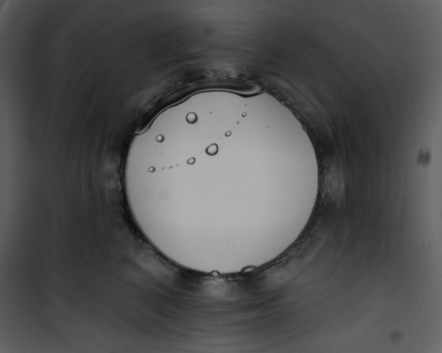 X0000101230616200807181604