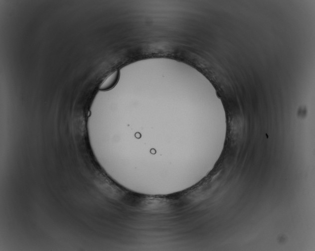 X0000101230617200807181604