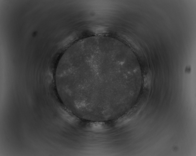 X0000101230618200807181604