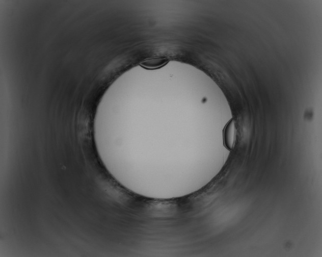 X0000101230619200807181604