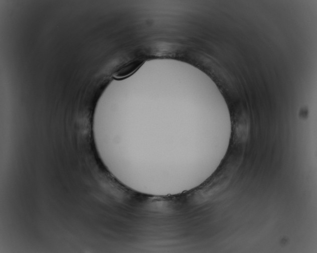 X0000101230620200807181604