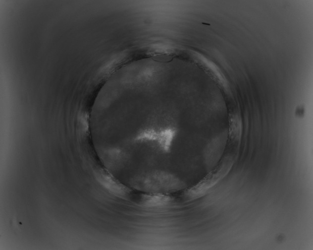 X0000101230621200807181604