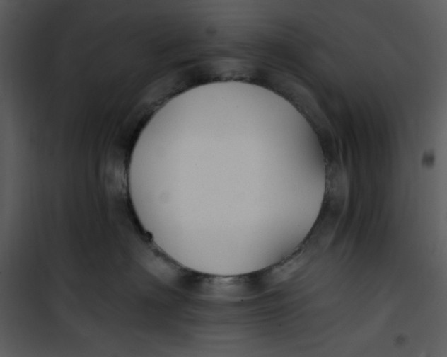 X0000101230622200807181604