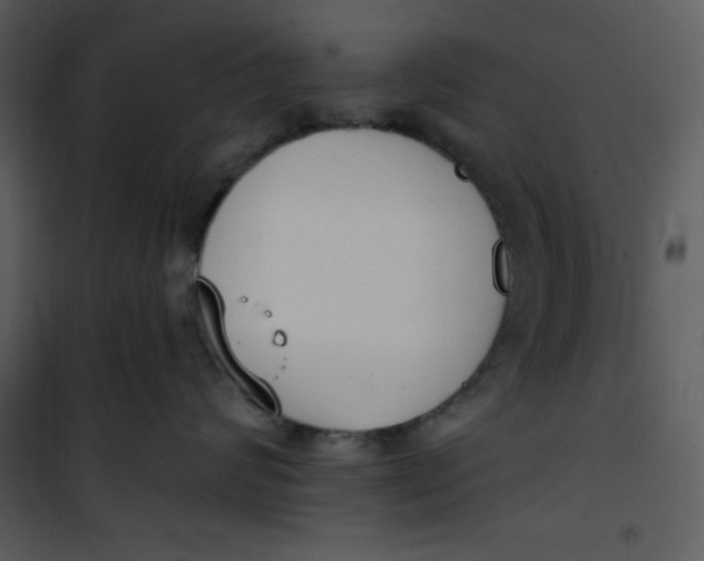 X0000101230624200807181604