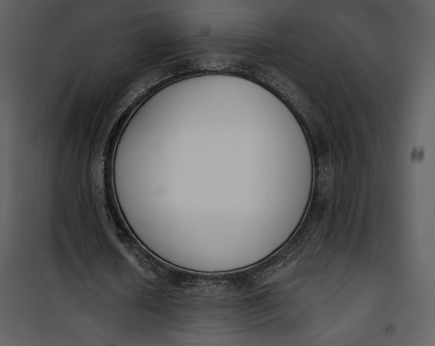 X0000101230626200807181603