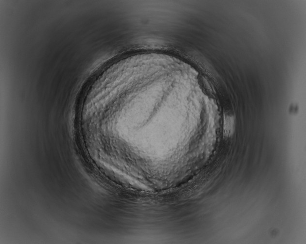 X0000101230627200807181603