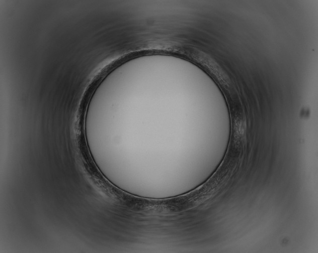 X0000101230628200807181603