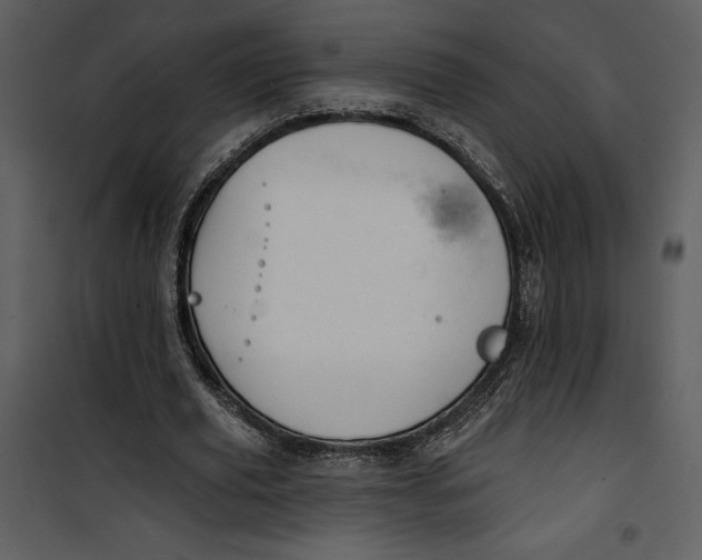 X0000101230629200807181603