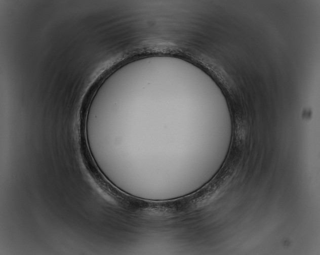 X0000101230630200807181603