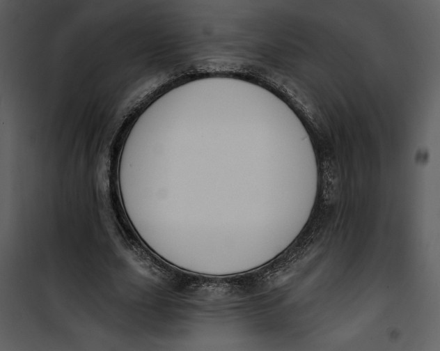 X0000101230631200807181604