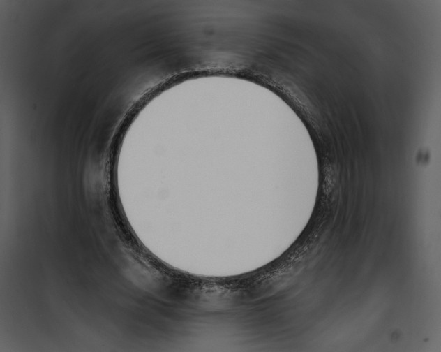 X0000101230632200807181604