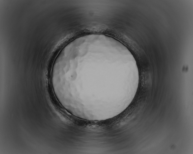 X0000101230634200807181604