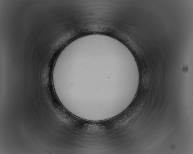 X0000101230635200807181604