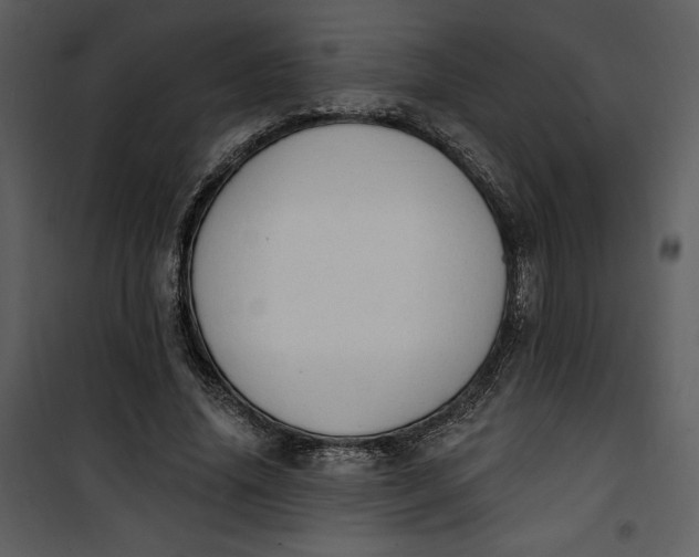 X0000101230636200807181604