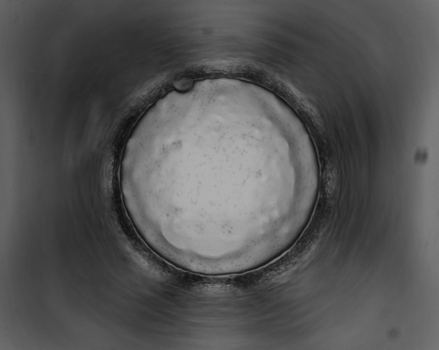 X0000101230637200807181604